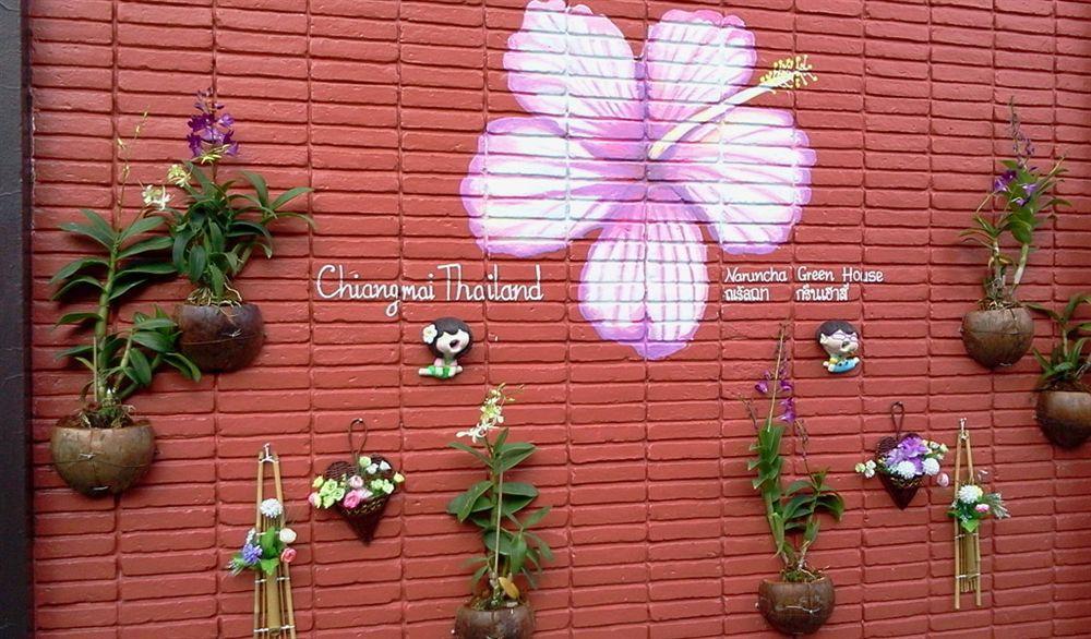 Naruncha Green House Chiang Mai Eksteriør billede