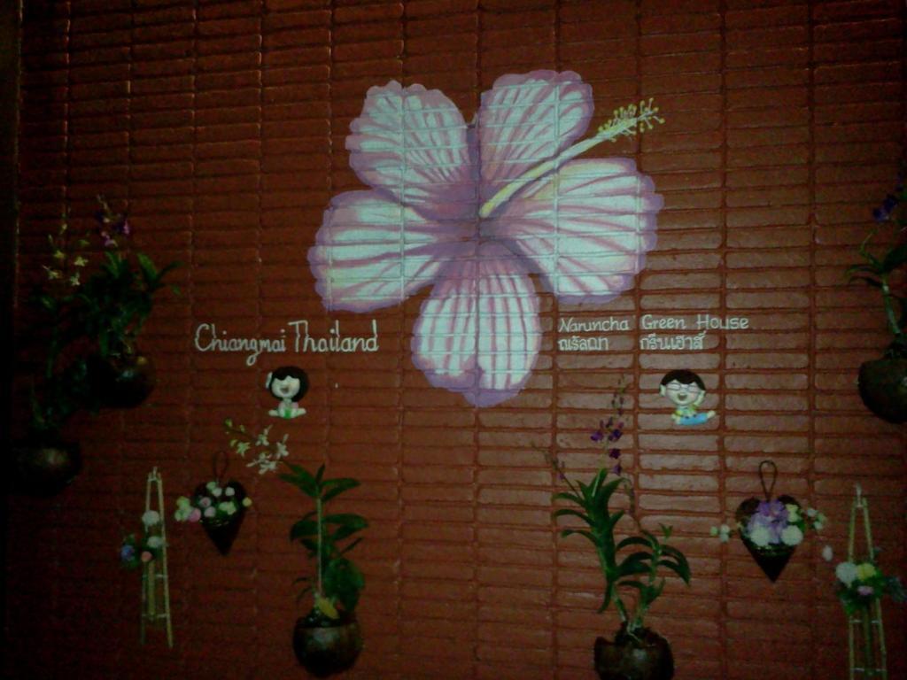 Naruncha Green House Chiang Mai Eksteriør billede